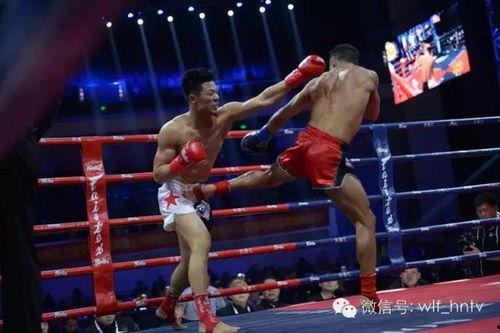 焦富开资料,揭秘我国杰出企业家的人生轨迹与商业智慧