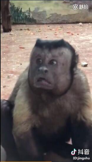 榜姐每日话题搞笑,榜姐每日话题带你开启欢乐之旅